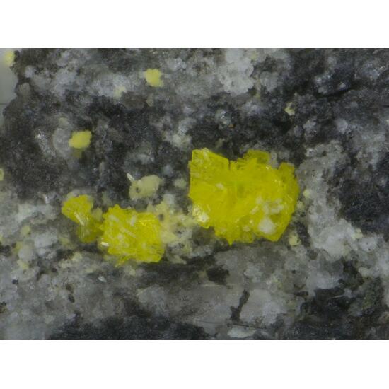 Renardite & Saléeite