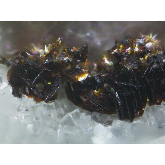 Imhofite Seligmannite & Hutchinsonite