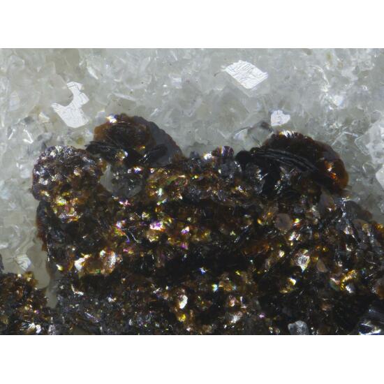 Imhofite Seligmannite & Hutchinsonite