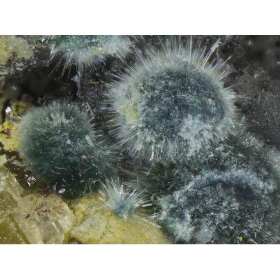 Parasymplesite & Proustite