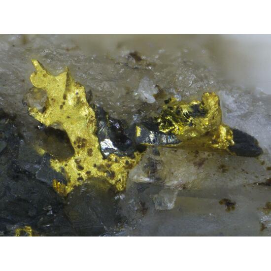 Gold & Tetradymite