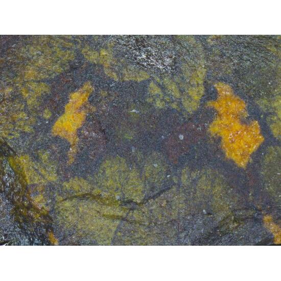 Rameauite & Schoepite