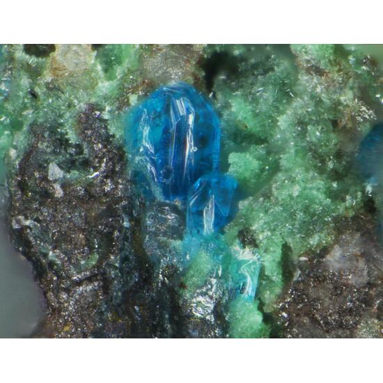 Chalcomenite Marthozite & Demesmaekerite