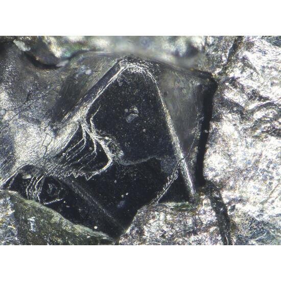 Sperrylite & Cabriite