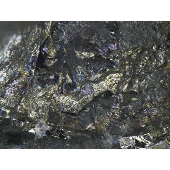 Sperrylite & Cabriite