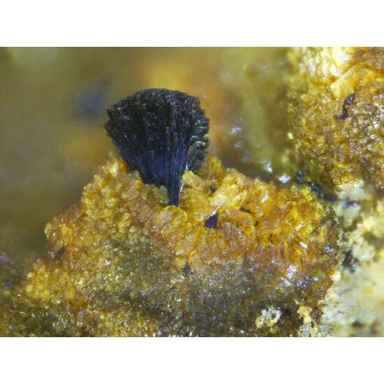 Jahnsite Rockbridgeite & Mitridatite