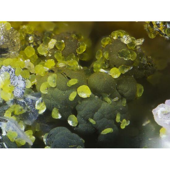 Cyrilovite & Beraunite & Strengite