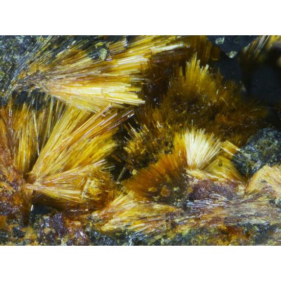 Cyrilovite & Beraunite & Strengite