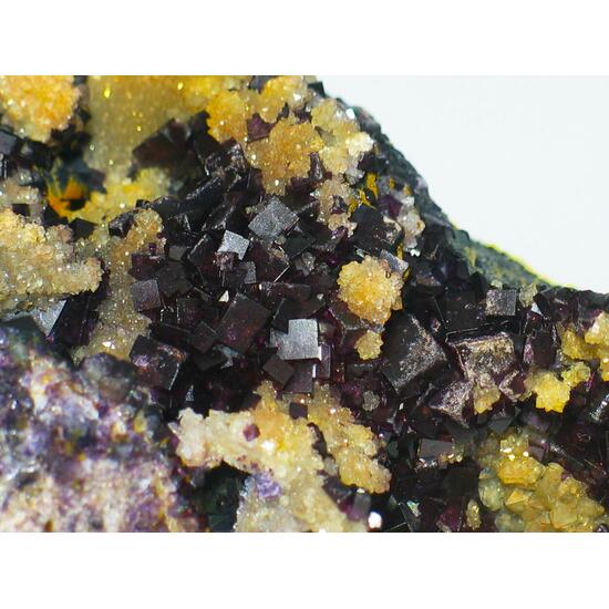 Fluorite On Eisenkiesel