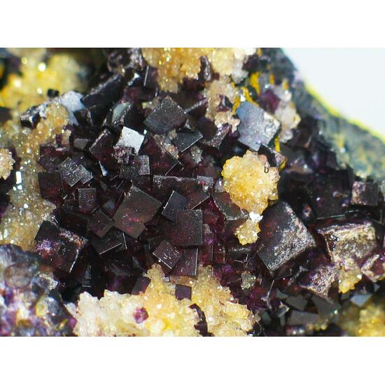 Fluorite On Eisenkiesel