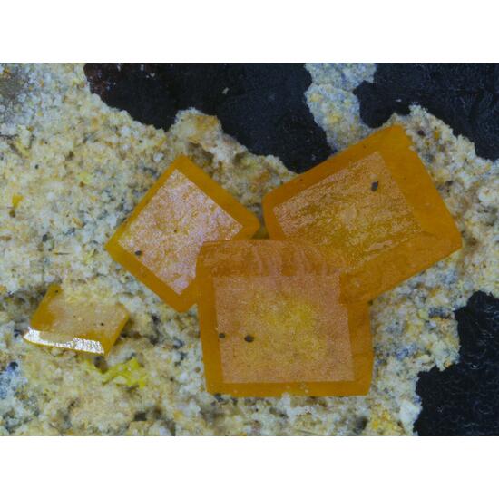 Wulfenite & Mimetite