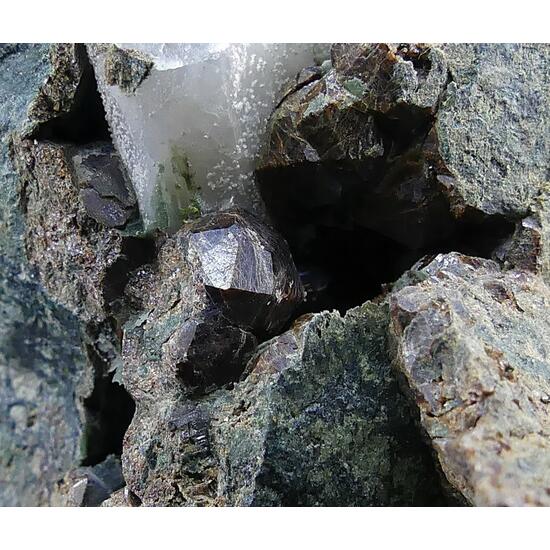 Andradite & Ferropargasite