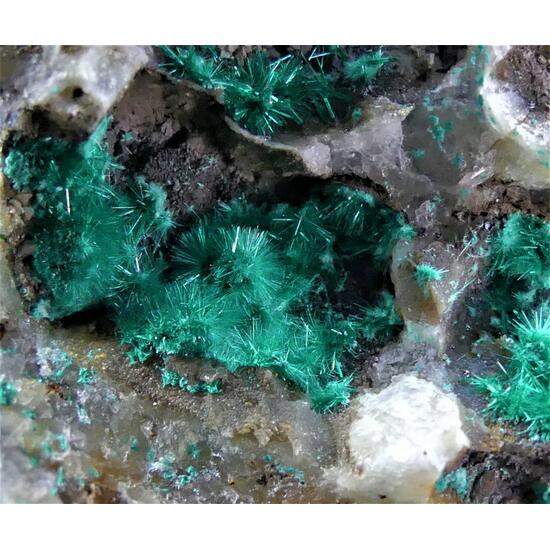 Brochantite & Linarite