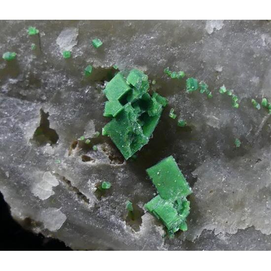 Torbernite