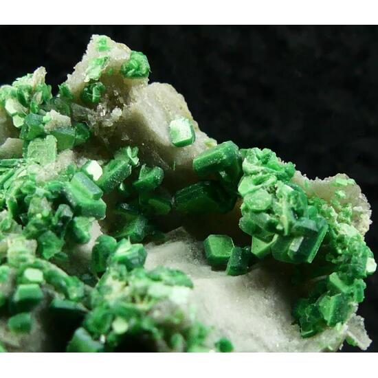 Torbernite