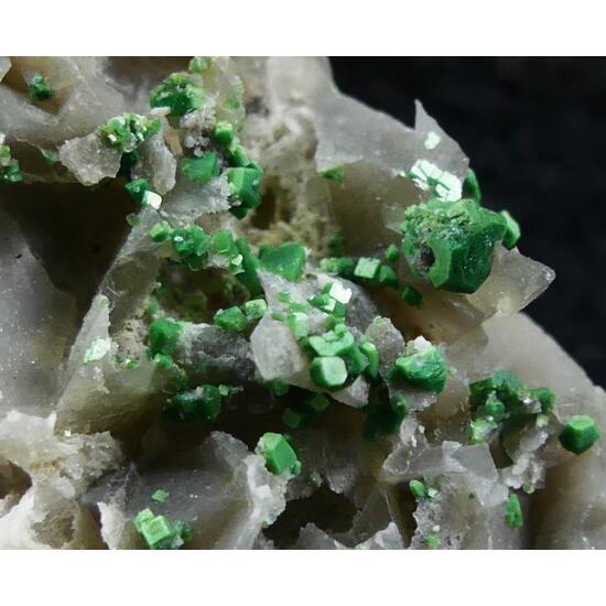 Torbernite