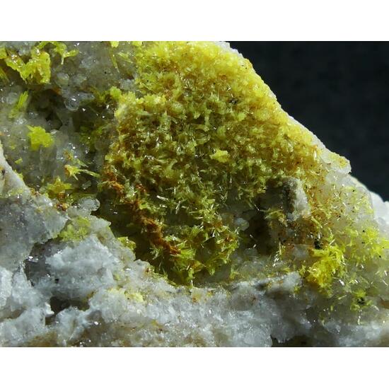 Mimetite & Pyromorphite