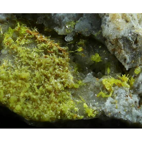 Mimetite & Pyromorphite