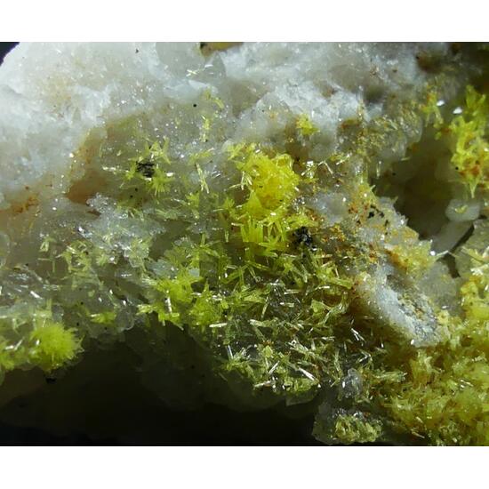 Mimetite & Pyromorphite