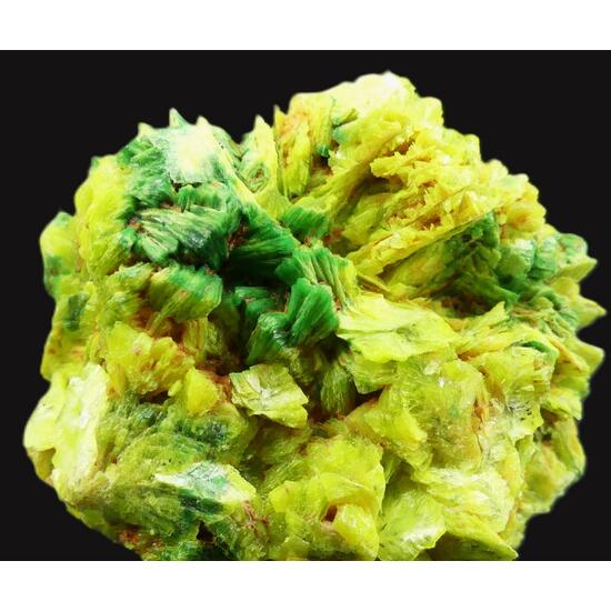 Autunite