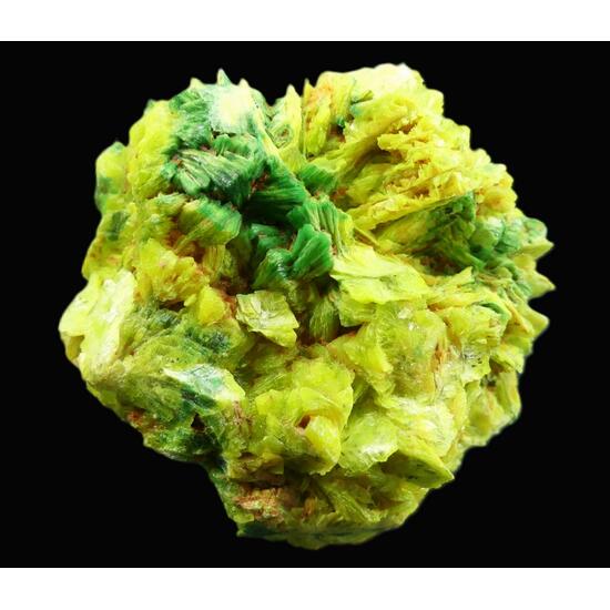 Autunite