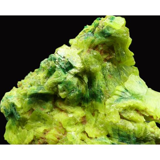 Autunite