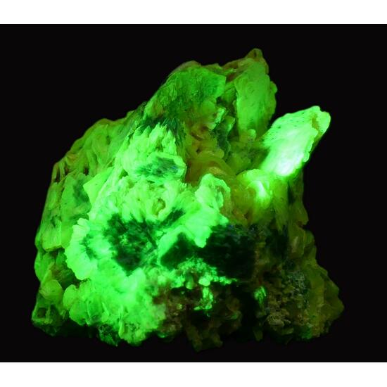 Autunite