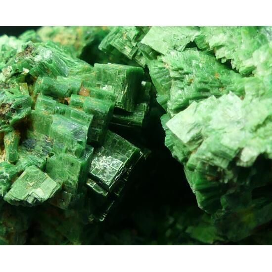 Torbernite Autunite