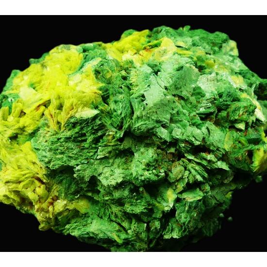 Autunite & Torbernite