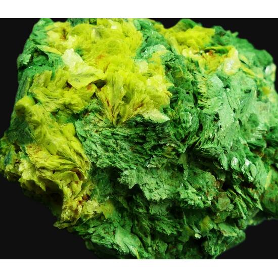 Autunite & Torbernite