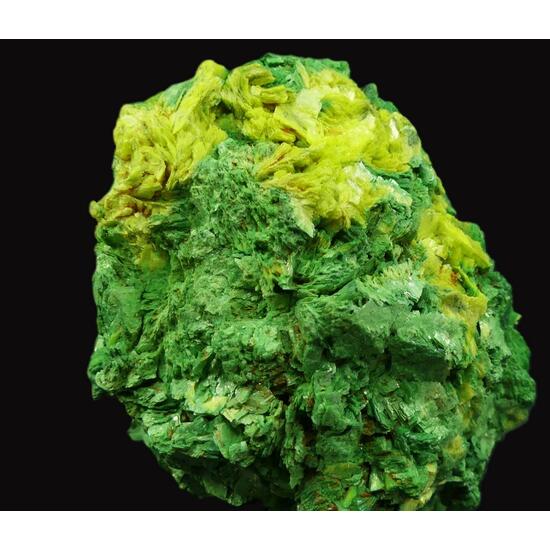 Autunite & Torbernite