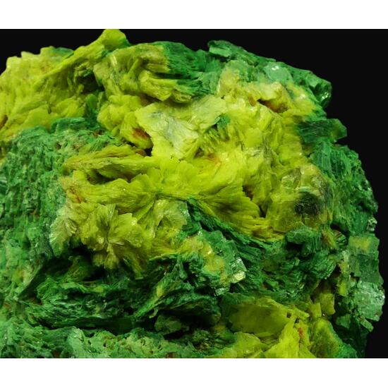 Autunite & Torbernite