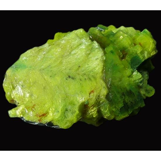 Autunite & Torbernite