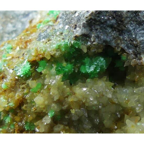 Annabergite