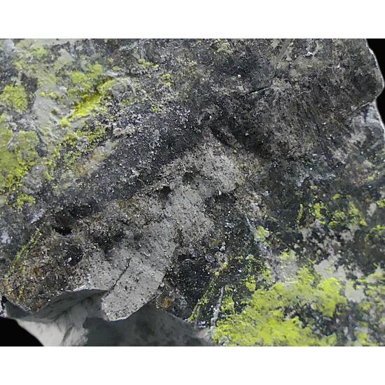 Tyuyamunite & Sepiolite