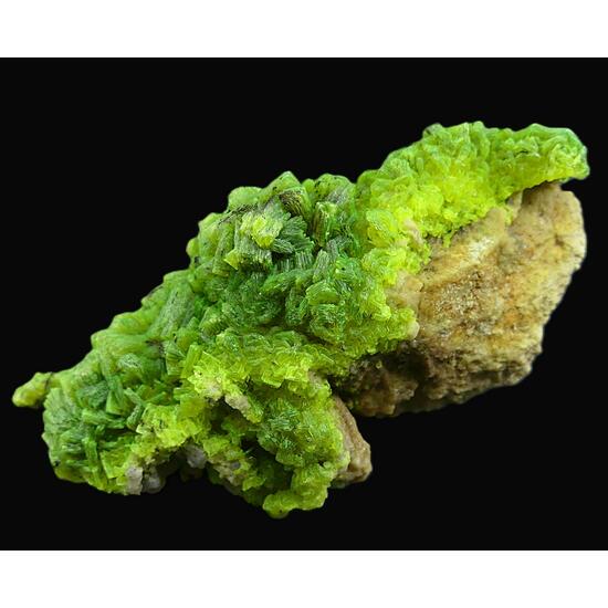 Autunite