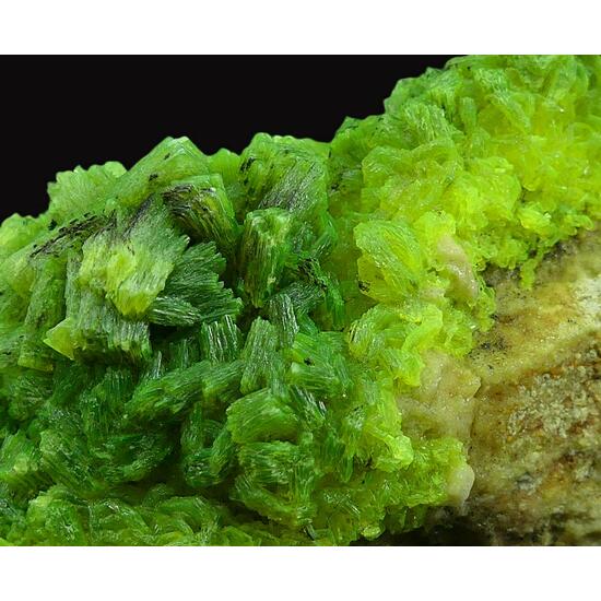 Autunite