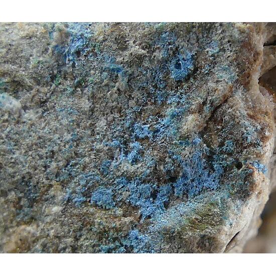 Cyanotrichite