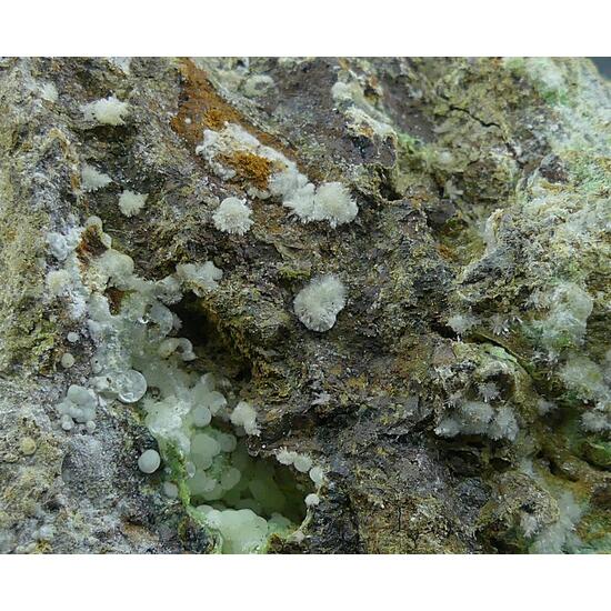 Calcioferrite & Fluorapatite