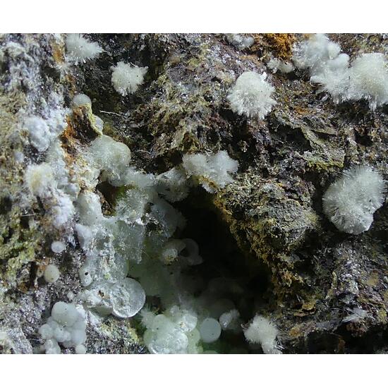 Calcioferrite & Fluorapatite