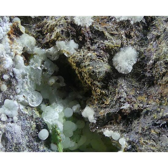 Calcioferrite & Fluorapatite