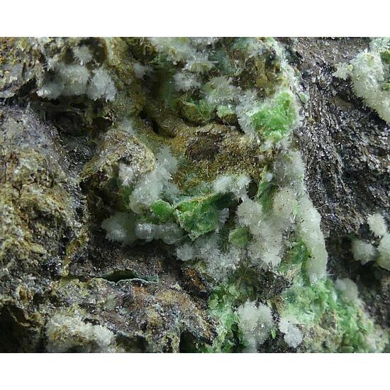 Calcioferrite & Fluorapatite