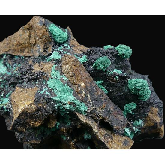 Malachite & Dioptase