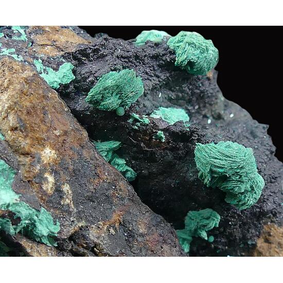 Malachite & Dioptase