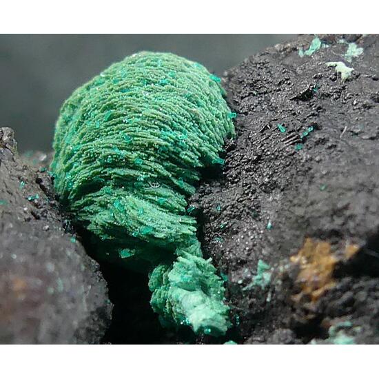 Malachite & Dioptase