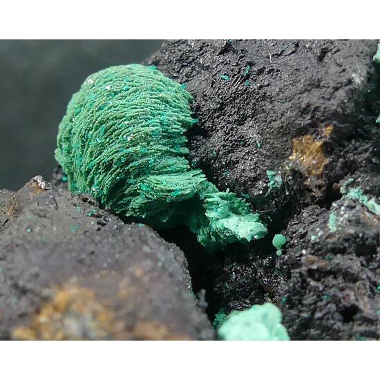 Malachite & Dioptase