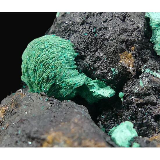 Malachite & Dioptase