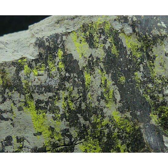 Tyuyamunite & Sepiolite