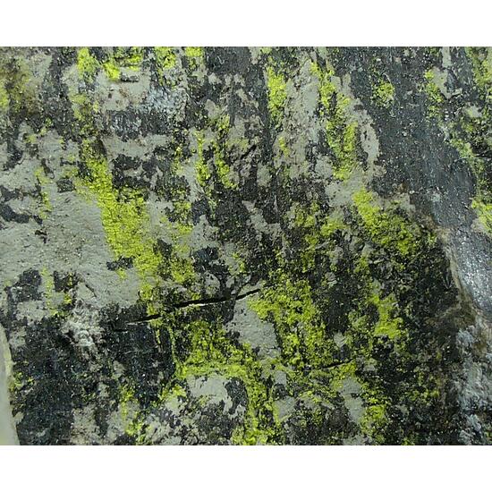 Tyuyamunite & Sepiolite