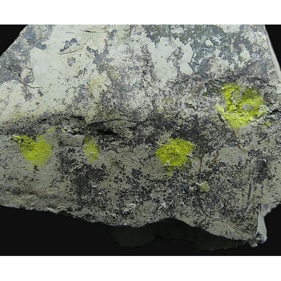 Tyuyamunite & Sepiolite